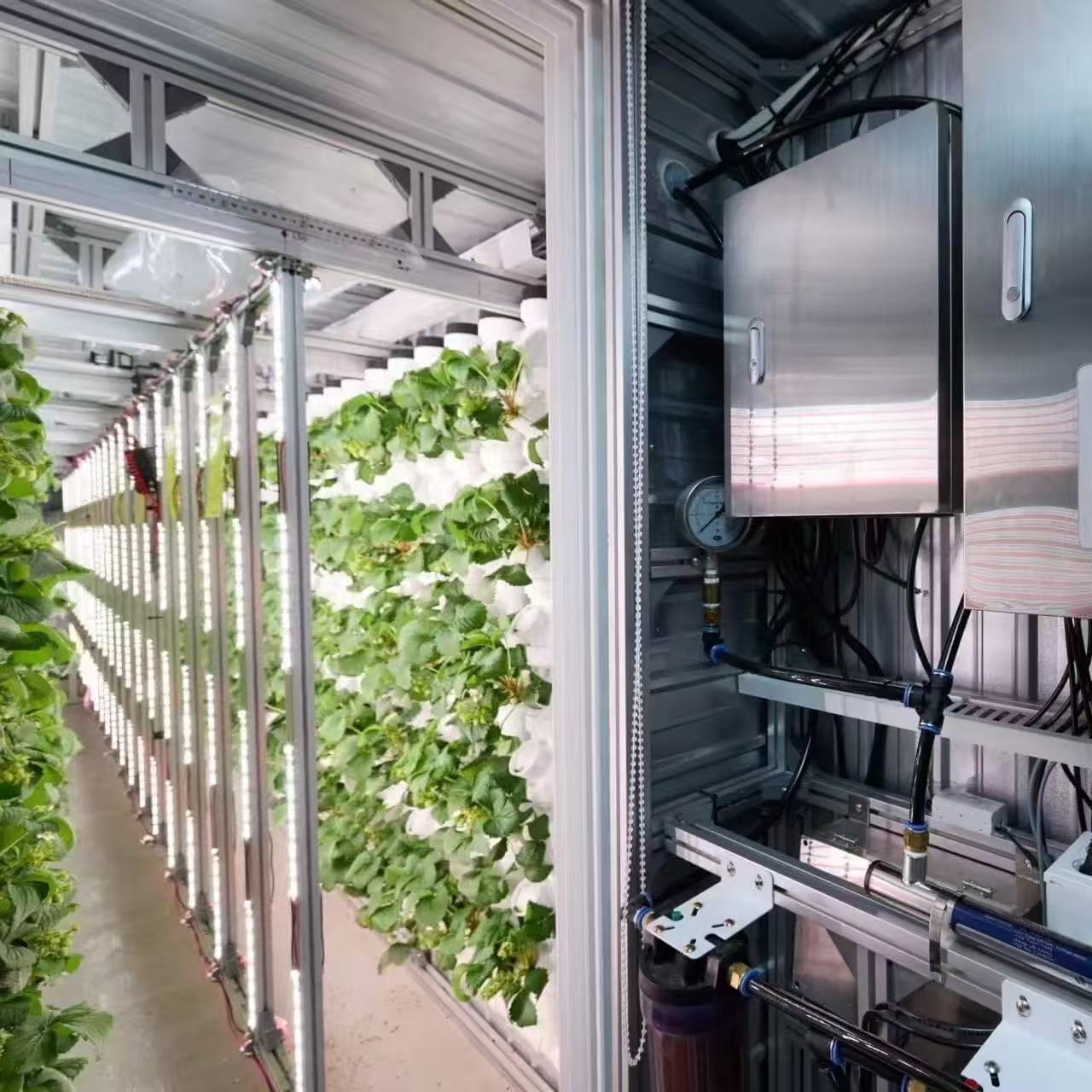 Integrated environmental control and irrigation equipment beside vertical growing racks